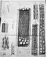 Annual rings of wood